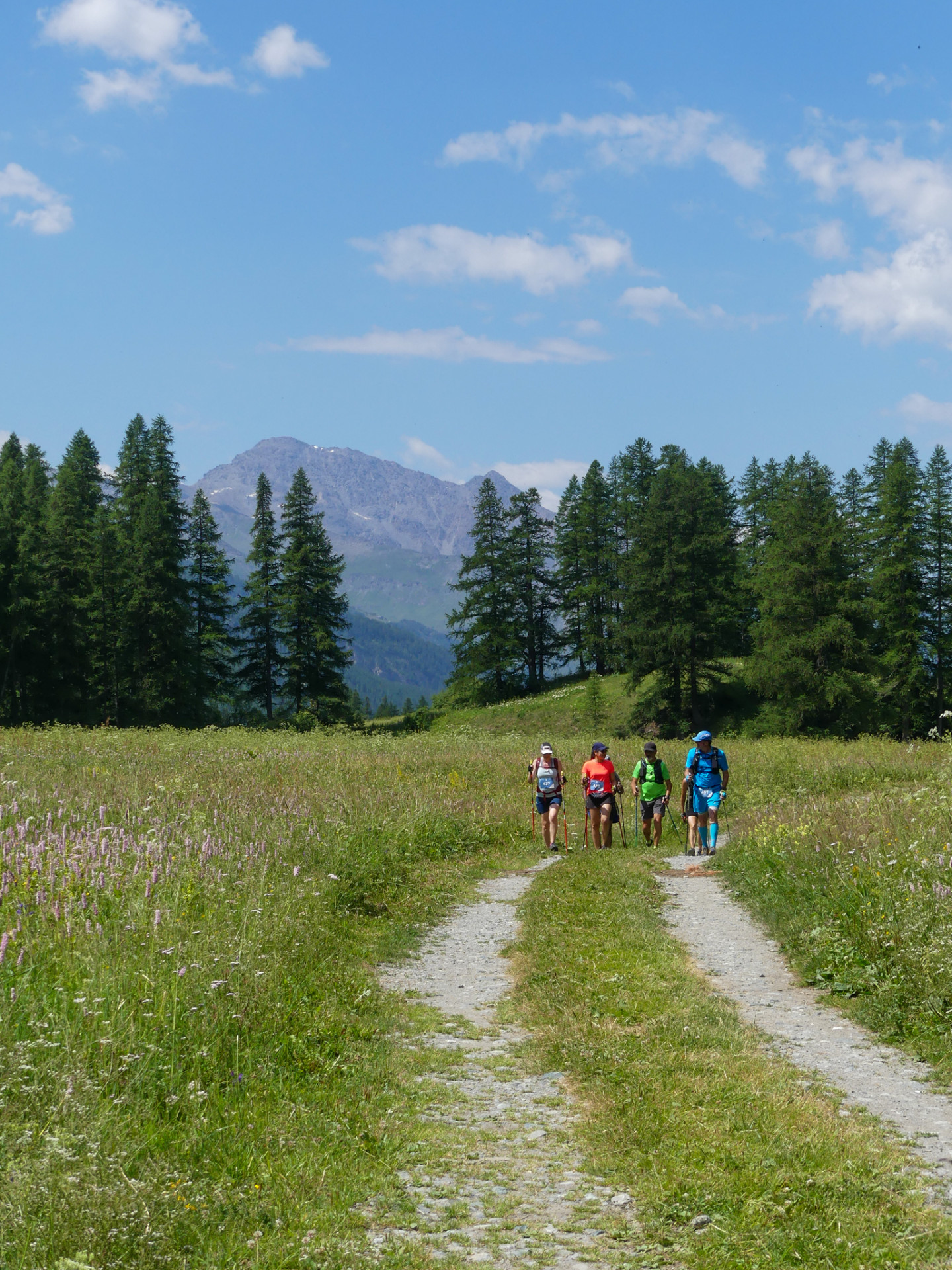 marche-nordique-des-alpes-bessans-07-2022-cb-filliol-othmv-64-jpg-high-59