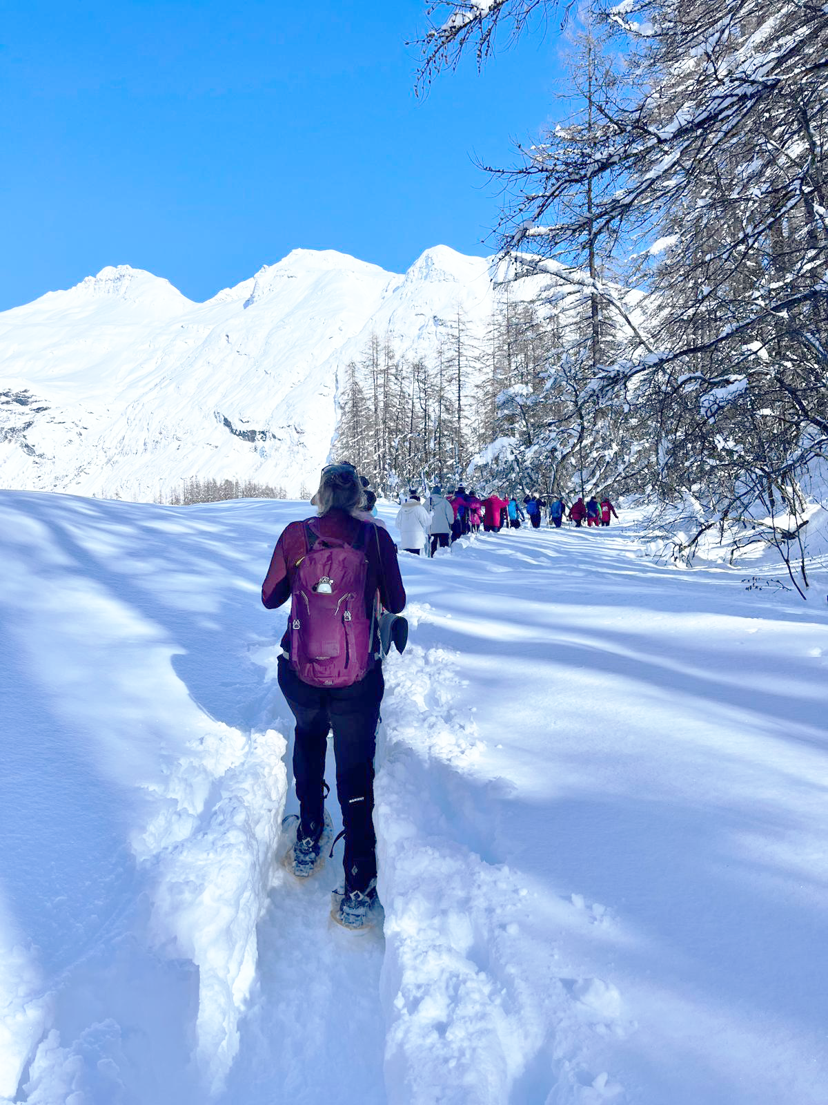 Séjour raquettes nature