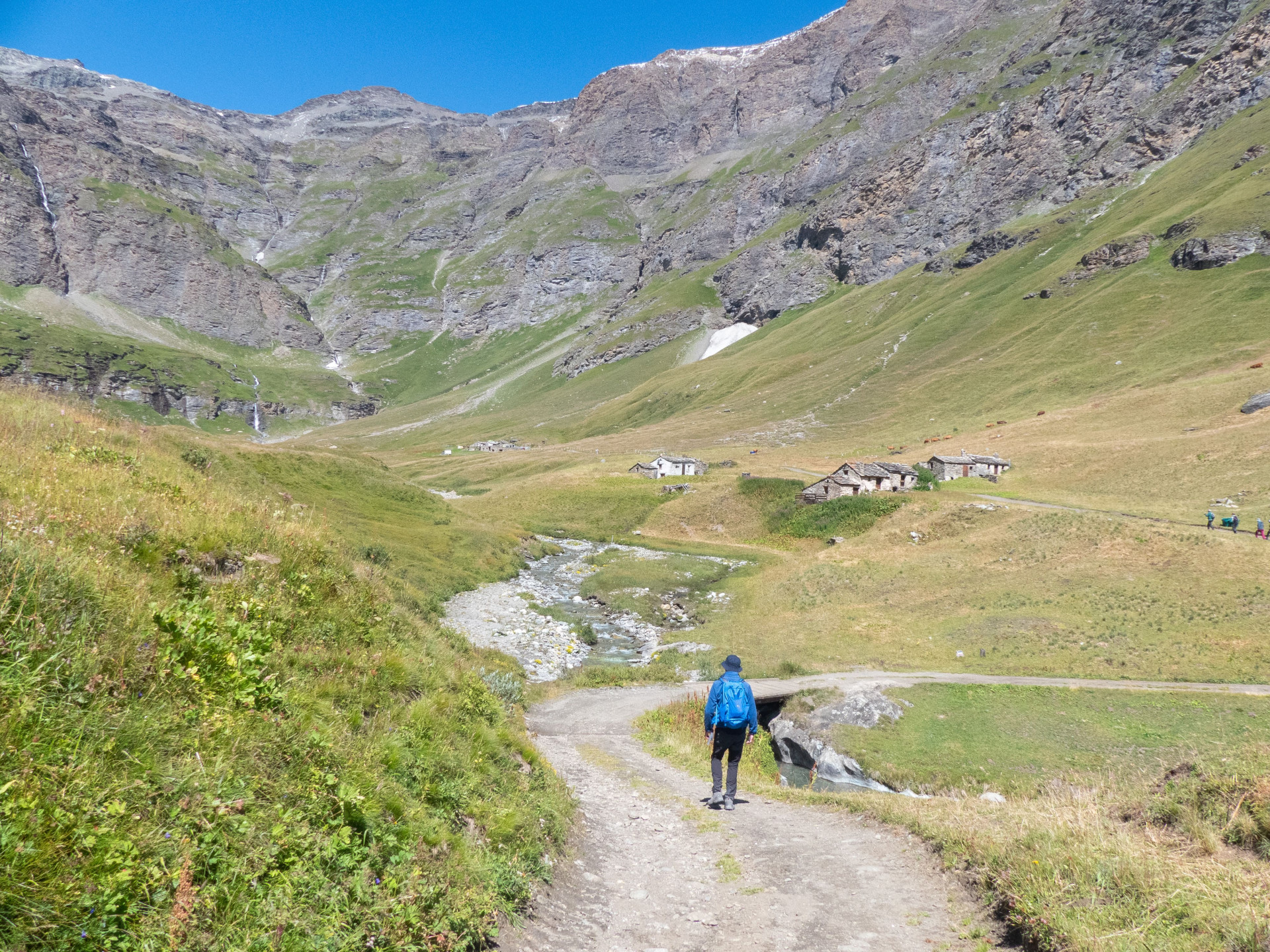 Plaisir en alpage